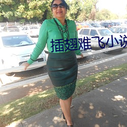 插翅难飞小说
