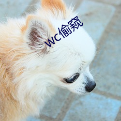 wc偷窺