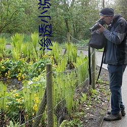 渗透小(小)说(說)