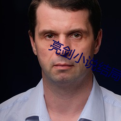 亮剑小(小)说(說)结局