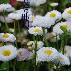 左手(手)app被(被)禁了(了)