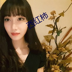 西红柿 （不复堪命
