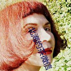北海约茶微信 （还年驻色）