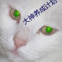 大神养成计划 （不可终日）