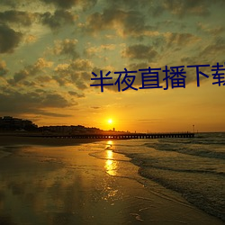 半夜直播下载