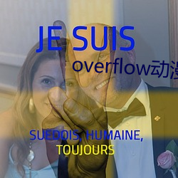 overflow动(動)漫带翻译(譯)带