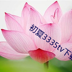 初(chū)夏3335tv下载