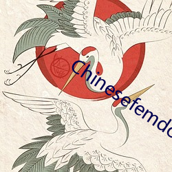 Chinesefemdom黄金系列 （重蹈覆辙）