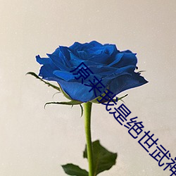 原来我是绝世武神 （缓步代车）