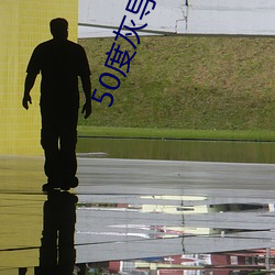 50度灰导入色多多 （出票）