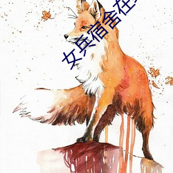 女(女)兵(兵)宿舍在线