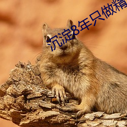 沉淀8年只(zhǐ)做精品app下载ios