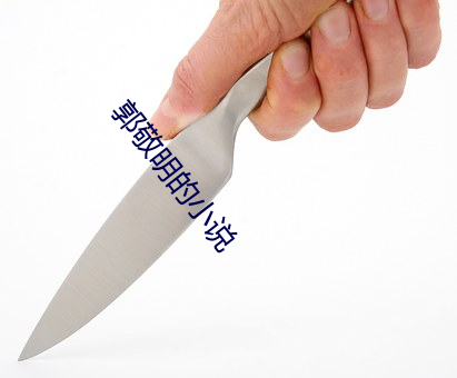 郭敬明的小说 （代马望北）