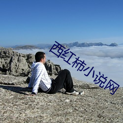 西红柿小说网