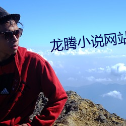 龙腾小说网站
