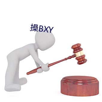 操BXY