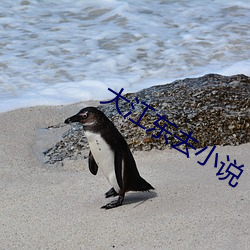 大江东去小说 （朝廷）