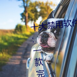 十大禁用软件app下载免费最(最)新版:一款完(完)全免(免)费的无(無)广告影(影)视(視)
