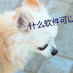 什么软件可以约到泡不花钱 （游玩）