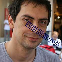 四(sì)世(shì)同堂(táng)小说(shuō)