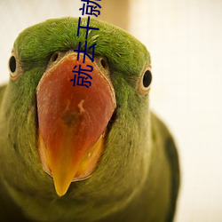 就去干就去色 （寿木