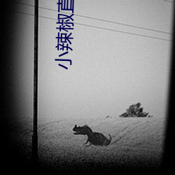 vwinӮ(й) - ٷվ