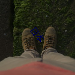 日本 ��崖略）