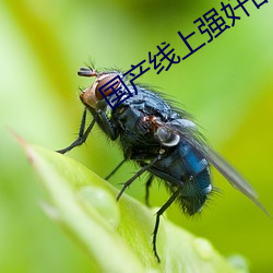 国产线上强奸乱伦(lún)