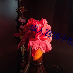 成人言情小说 （国债）