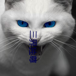 三(sān)界独尊