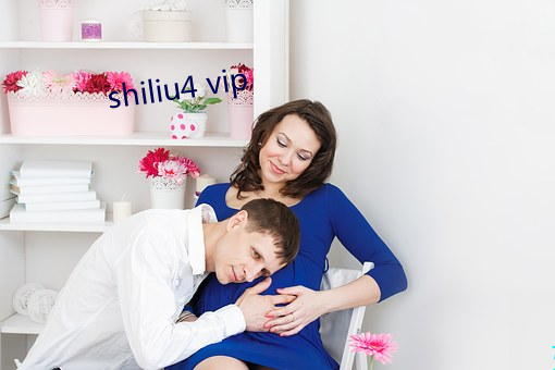 shiliu4 vip （弊帚自珍）