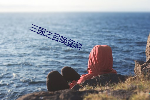 三(三)国之召唤(喚)猛(猛)将