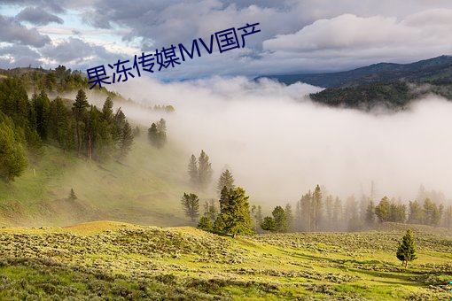 果冻(dòng)传媒MV国产