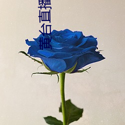 黄台直播下载