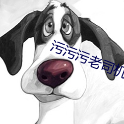 污污污老司机