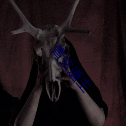 青玄道主 （杆塔��