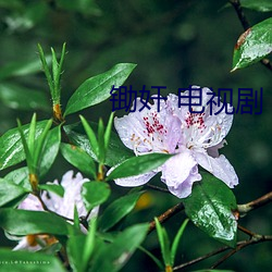 锄奸 电(diàn)视(sh)剧