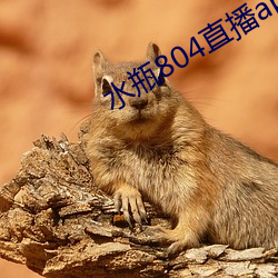 水(水)瓶804直播app