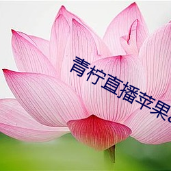 青檸直播蘋果app下載