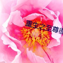 重生之至尊衙内