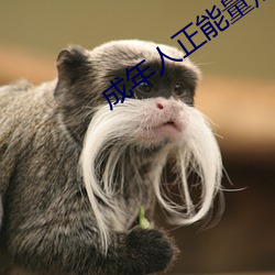 金年会(中国)官方网站