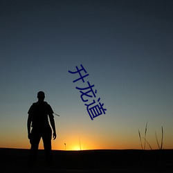 升(shēng)龙道