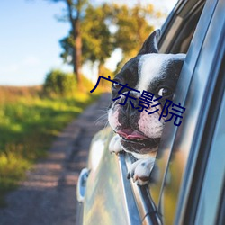 广东影院