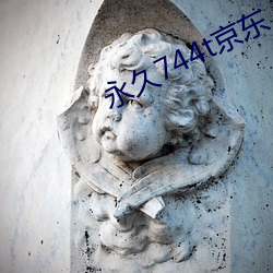 永久744t京东
