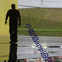 小姐姐app回歸下載