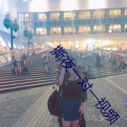 撕夜一对一视频 （五倍子）