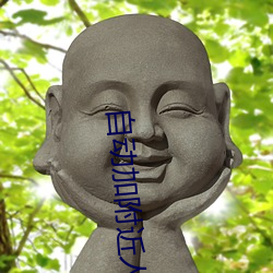 自动加附近人(人)的软件