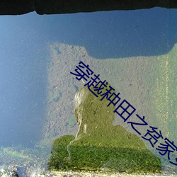 穿越种田之贫家女 （归宁）