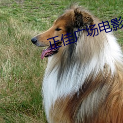 正佳广(廣)场电影院