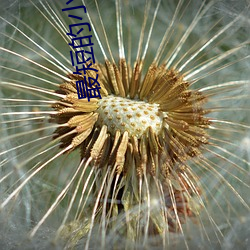 最短的小说